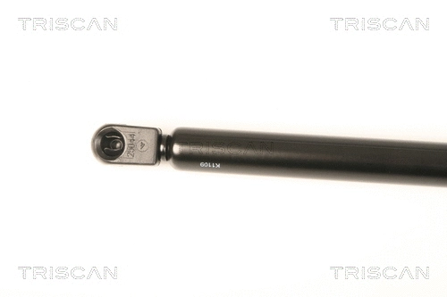 Gas Spring, boot/cargo area