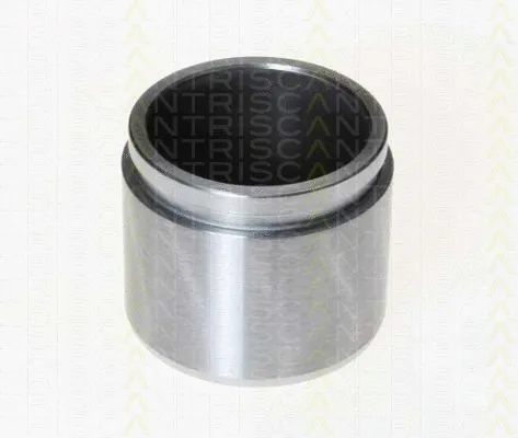 Piston, brake caliper (8170 232007)
