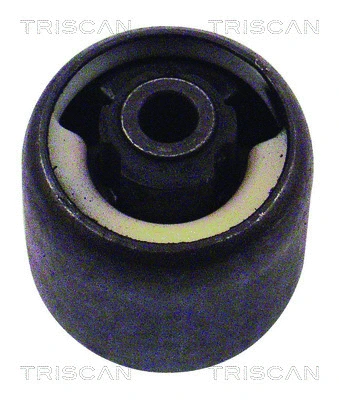 Bushing, axle beam (8500 16822)