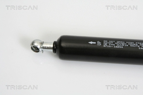 Gas Spring, boot/cargo area