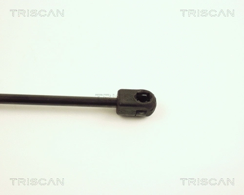Gas Spring, boot/cargo area