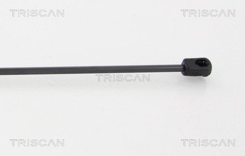 Gas Spring, boot/cargo area