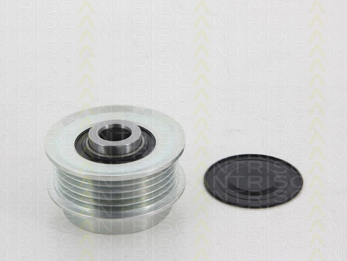 Alternator Freewheel Clutch (8641 134003)