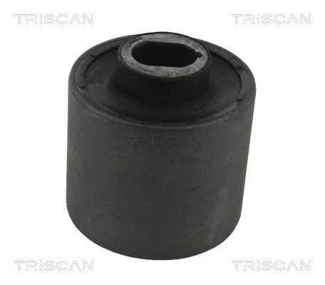 Mounting, control/trailing arm (8500 23880)