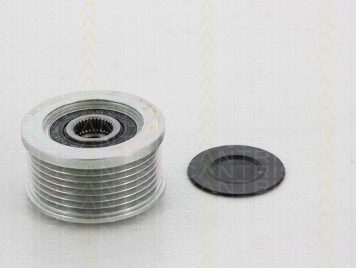 Alternator Freewheel Clutch (8641 144004)