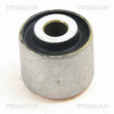 Mounting, control/trailing arm (8500 29870)