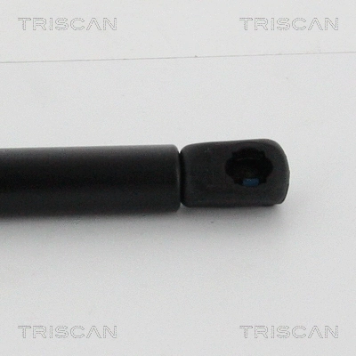 Gas Spring, boot/cargo area