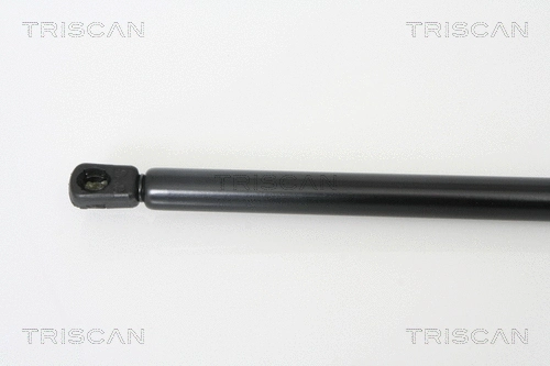 Gas Spring, boot/cargo area