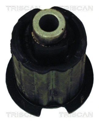 Bushing, axle beam (8500 11811)