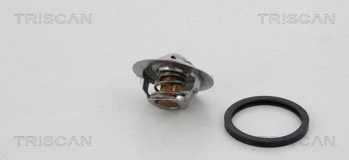 Thermostat, coolant (8620 11482)