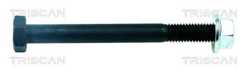 Mounting and Bolting Kit, control/trailing arm (8500 29866)