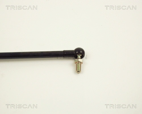 Gas Spring, boot/cargo area