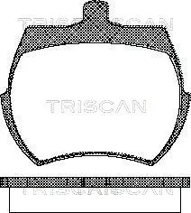 Brake Pad Set, disc brake (8110 17019)