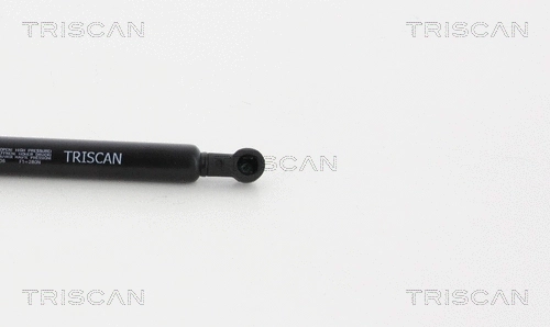 Gas Spring, boot/cargo area