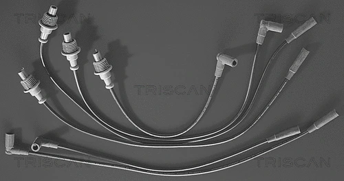 Ignition Cable Kit (8860 4310)