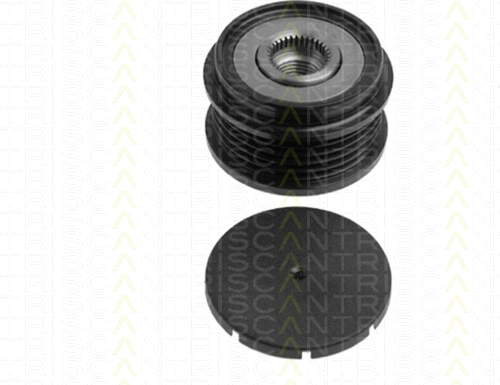 Alternator Freewheel Clutch (8641 294007)