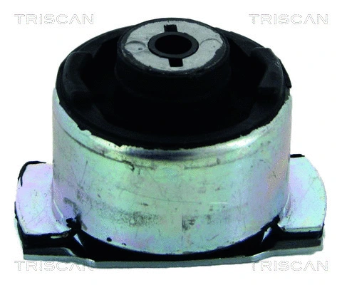 Bushing, axle beam (8500 25821)