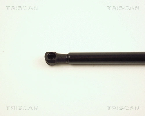 Gas Spring, bonnet