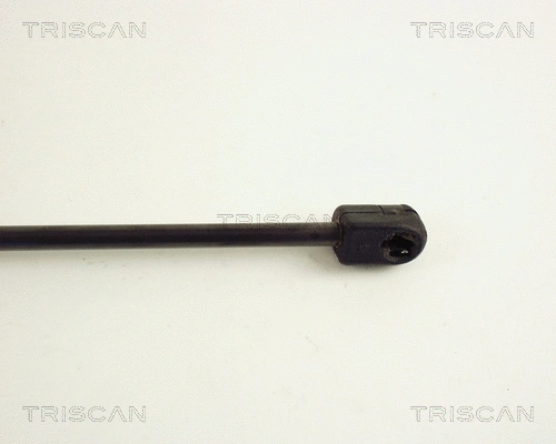Gas Spring, bonnet
