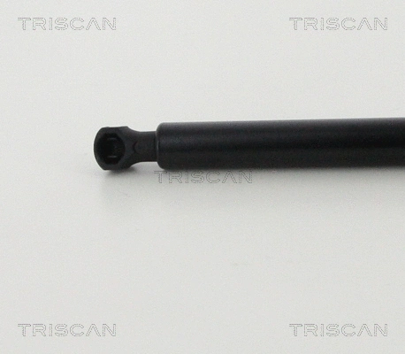 Gas Spring, boot/cargo area