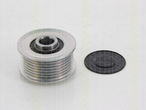 Alternator Freewheel Clutch (8641 114006)
