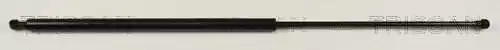 Gas Spring, boot/cargo area (8710 14230)