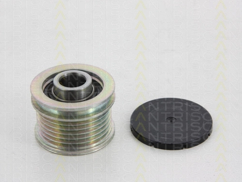 Alternator Freewheel Clutch (8641 284006)