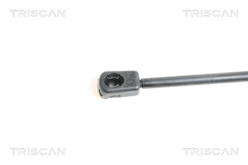 Gas Spring, bonnet