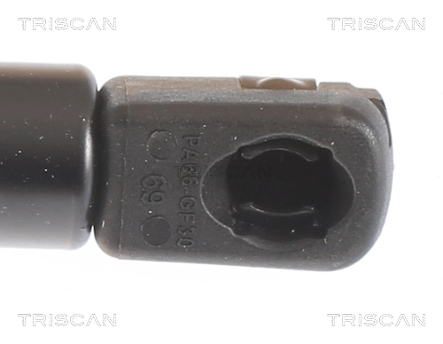 Gas Spring, bonnet