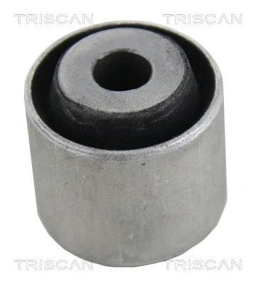 Mounting, control/trailing arm (8500 11890)