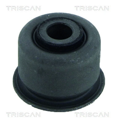 Mounting, control/trailing arm (8500 28842)