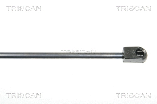 Gas Spring, boot/cargo area