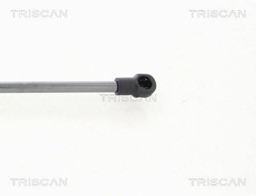 Gas Spring, boot/cargo area