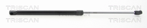 Gas Spring, boot/cargo area (8710 43241)