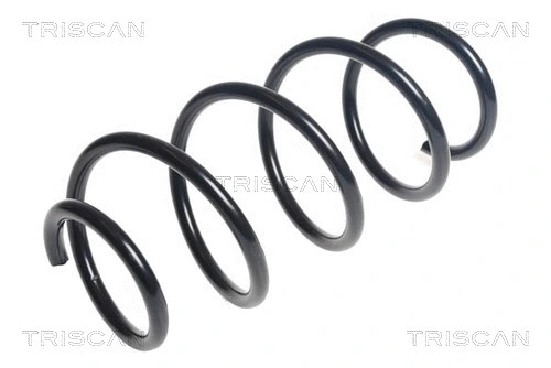 Suspension Spring (8750 29429)