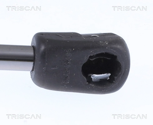 Gas Spring, boot/cargo area