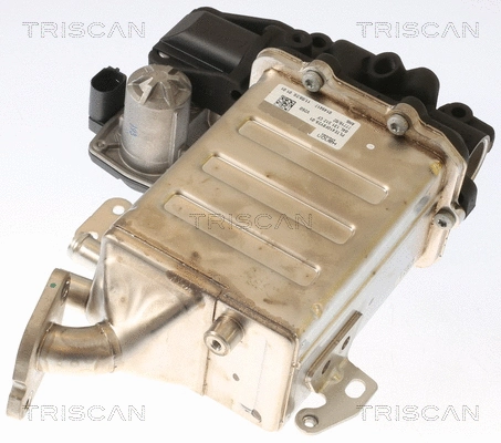 EGR Valve (8813 29006)