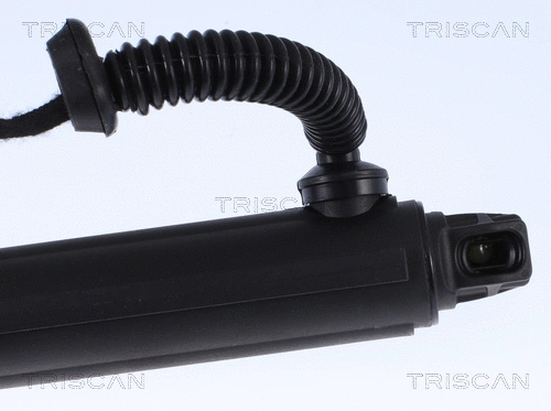 Gas Spring, boot/cargo area