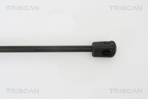 Gas Spring, boot/cargo area