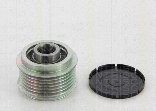 Alternator Freewheel Clutch (8641 254009)
