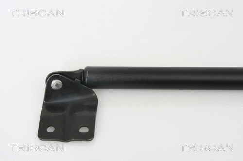 Gas Spring, boot/cargo area