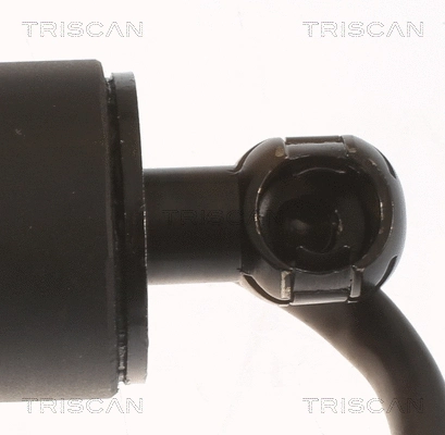 Gas Spring, boot/cargo area
