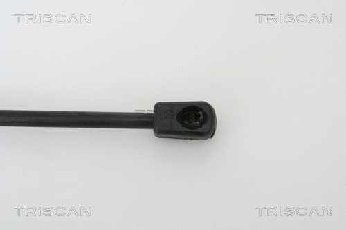 Gas Spring, boot/cargo area