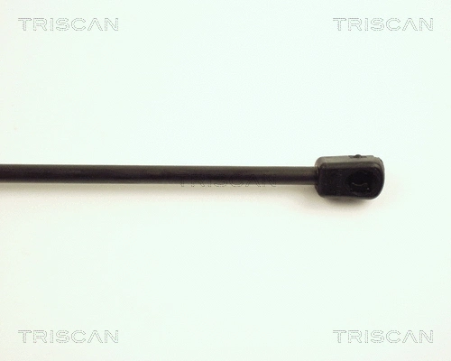 Gas Spring, boot/cargo area