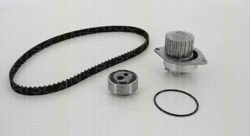 Water Pump & Timing Belt Kit (8647 280006)