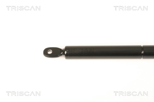 Gas Spring, boot/cargo area