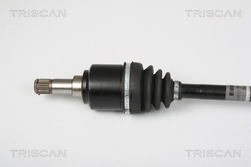 Drive Shaft