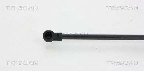 Gas Spring, boot/cargo area