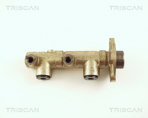 Brake Master Cylinder (8130 50101)