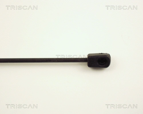 Gas Spring, boot/cargo area